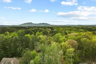 1365 Willis Lake Dr, Kennesaw, GA 30152 - Photo 5