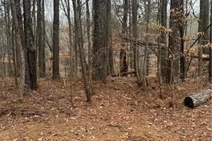 Lot 3 Lake Esther Dr, Fairburn, GA 30213 - Photo 1