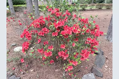 3033 Riviera Drive NW, Conyers, GA 30012 - Photo 3