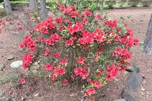 3033 Riviera Dr NW, Conyers, GA 30012 - Photo 3