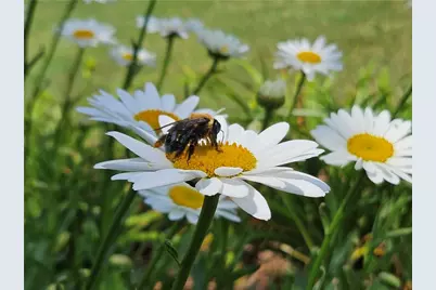 1524 Holly Lake Circle, Snellville, GA 30078 - Photo 71