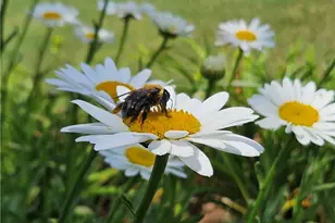 1524 Holly Lake Circle, Snellville, GA 30078 - Photo 71