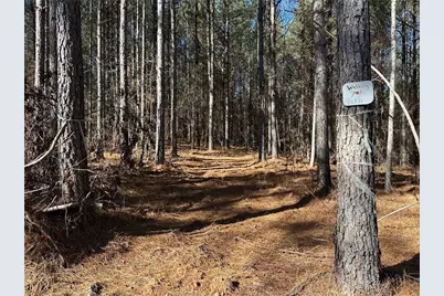 1107 Larmon Forks Road, Dahlonega, GA 30533 - Photo 3