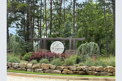 165 Highlands Chase, Ball Ground, GA 30107 - Photo 3