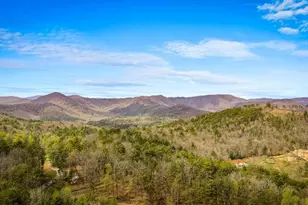 267 Oasis Dr, Blue Ridge, GA 30513 - Photo 63