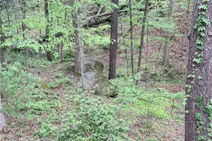 121 Killdeer Ln, Monticello, GA 31064 - Photo 39