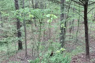 121 Killdeer Ln, Monticello, GA 31064 - Photo 41