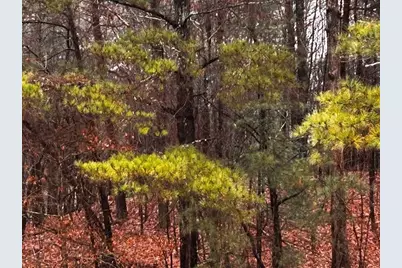 000 Talona Road, Talking Rock, GA 30175 - Photo 11