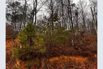 000 Talona Road, Talking Rock, GA 30175 - Photo 7