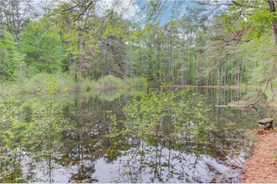 255 Turnberry Lane, Winder, GA 30680 - Photo 41