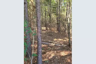 700 Gadsden Road SW, Cave Spring, GA 30124 - Photo 7