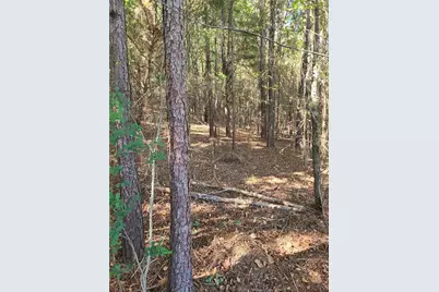 700 Gadsden Road SW, Cave Spring, GA 30124 - Photo 7