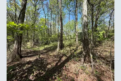 0 Panhandler Circle (2B), Maysville, GA 30558 - Photo 3