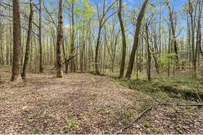 301 Highway 5 East, Roopville, GA 30170 - Photo 55