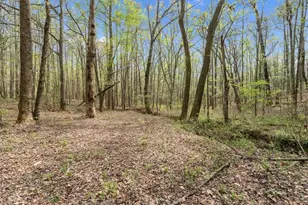 301 Hwy 5 E, Roopville, GA 30170 - Photo 55