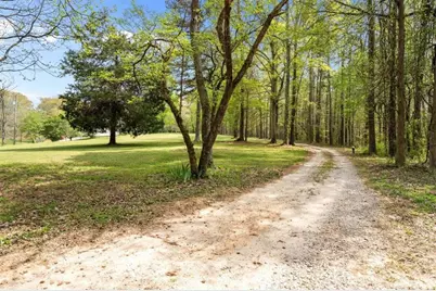 301 Highway 5 East, Roopville, GA 30170 - Photo 59