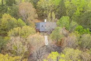 301 Hwy 5 E, Roopville, GA 30170 - Photo 3