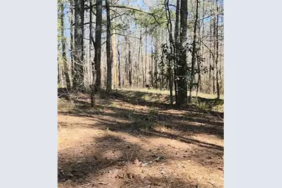 3274 Aaron Sosebee Road, Cumming, GA 30028 - Photo 3