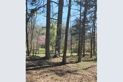 3274 Aaron Sosebee Road, Cumming, GA 30028 - Photo 11
