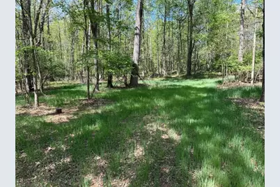 0 Panhandler Circle (2C), Maysville, GA 30558 - Photo 5