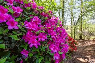 6795 Dawg Rdg, Dawsonville, GA 30534 - Photo 79