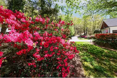 6795 Dawg Ridge, Dawsonville, GA 30534 - Photo 67