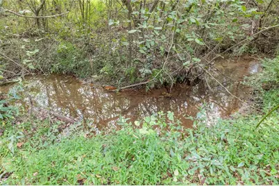 385 Amys Road, Clarkesville, GA 30523 - Photo 45