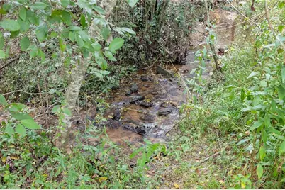 385 Amys Road, Clarkesville, GA 30523 - Photo 47