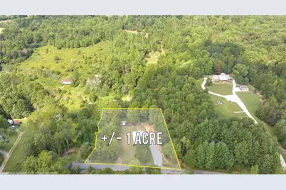 385 Amys Road, Clarkesville, GA 30523 - Photo 3