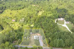 385 Amy's Rd, Clarkesville, GA 30523 - Photo 3