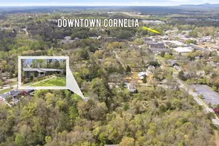 490 Maple St, Cornelia, GA 30531 - Photo 75