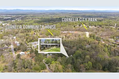 490 Maple Street, Cornelia, GA 30531 - Photo 79