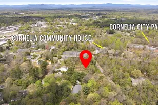 490 Maple St, Cornelia, GA 30531 - Photo 87