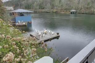 1431 Tame Turkey Rd, Lakemont, GA 30552 - Photo 53