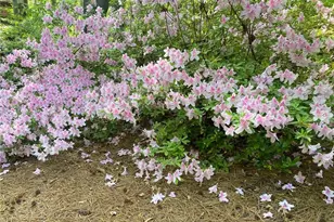 2880 Parkview Pass SE, Smyrna, GA 30080 - Photo 57