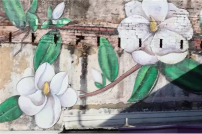 5120 Railroad Avenue, Flowery Branch, GA 30542 - Photo 29