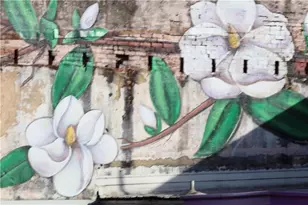 5120 Railroad Ave, Flowery Branch, GA 30542 - Photo 29