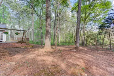 925 Nature Trail, Bethlehem, GA 30620 - Photo 33