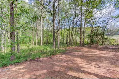 925 Nature Trail, Bethlehem, GA 30620 - Photo 35