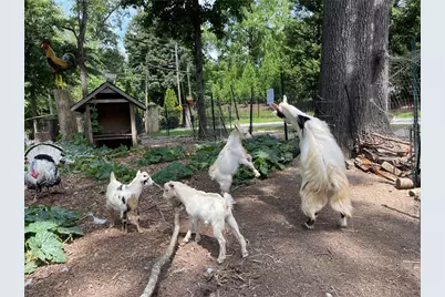 3809 Wieuca Road NE, Atlanta, GA 30342 - Photo 53