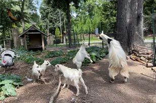 3809 Wieuca Rd NE, Atlanta, GA 30342 - Photo 53