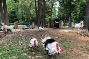 3809 Wieuca Rd NE, Atlanta, GA 30342 - Photo 57