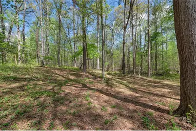 252 Amber Way, Dallas, GA 30157 - Photo 39