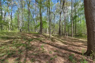 252 Amber Way, Dallas, GA 30157 - Photo 39