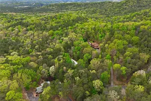 45 Wolfridge Trail NE, White, GA 30184 - Photo 65