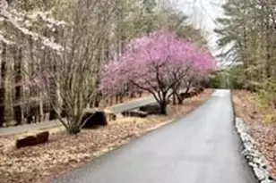 129 Mores Elm Loop, Waleska, GA 30183 - Photo 29