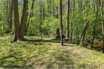 240 Mill Pond Court, Jasper, GA 30143 - Photo 35