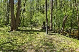 240 Mill Pond Ct, Jasper, GA 30143 - Photo 35