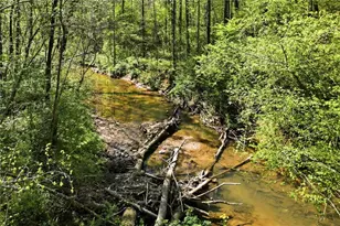 240 Mill Pond Ct, Jasper, GA 30143 - Photo 37