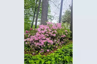 206 Wynnes Ridge Circle SE, Marietta, GA 30067 - Photo 31